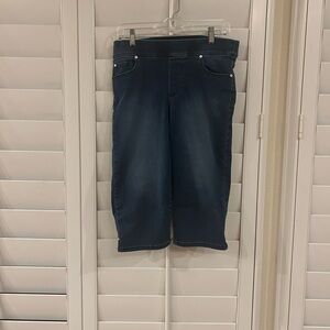 Gloria Vanderbilt Blue Straight Fit Jeans